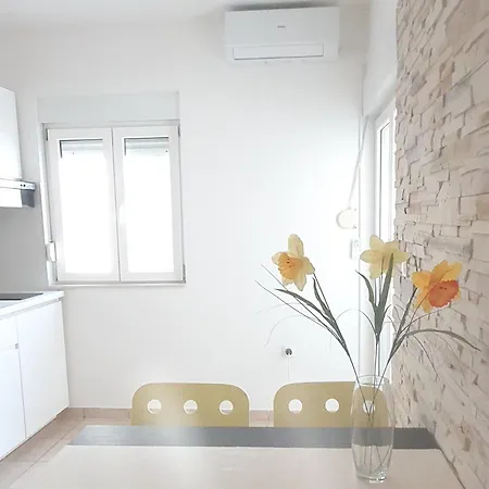 Apartamento - Pine Diklo Zadar