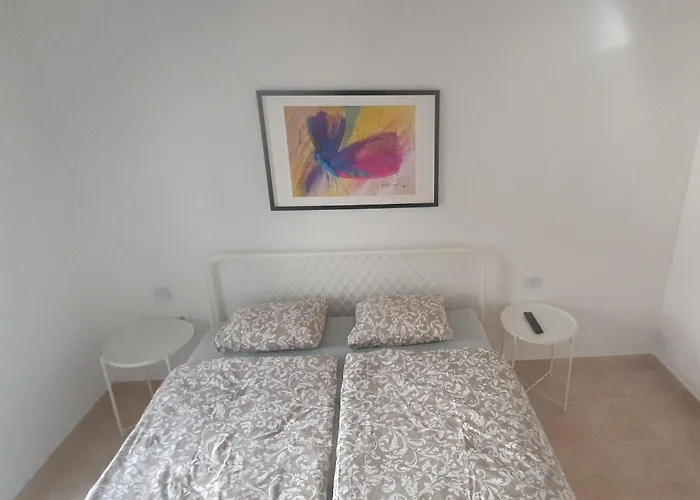 Apartman - Pine Diklo Zadar
