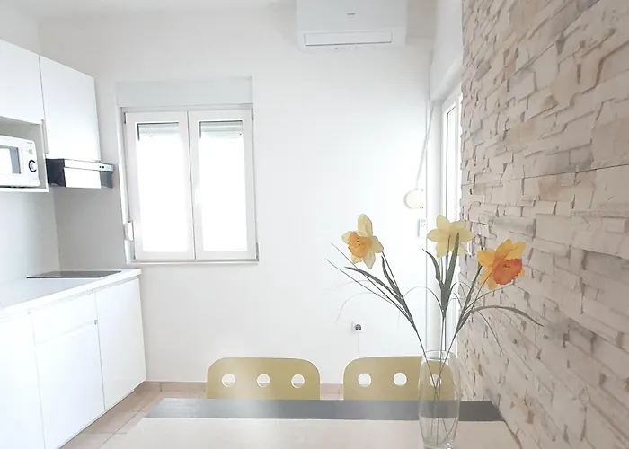 Apartman - Pine Diklo Zadar